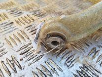 Рычаг задний правый BZPHGH Peugeot 407 купить с доставкой. Огромный выбор запчастей и марок авто. У нас есть практически все.