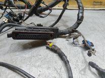 Проводка двигателя 8EH78A Fiat Punto купить