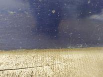 Дверь передняя левая RI8QPE Fiat Stilo купить с доставкой. Огромный выбор запчастей и марок авто. У нас есть практически все.