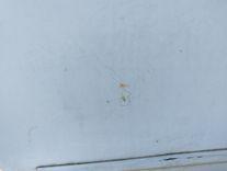 Дверь задняя правая FUKBP6 Nissan Note купить на авторазборке