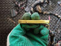 Проводка 04QP1L BMW 3 E46 undefined