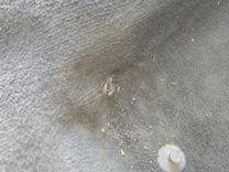 Ковер салонный INQW6U Volvo V40 купить на авторазборке