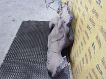 Бак топливный S5OE12 Renault Scenic купить в магазине запчастей бу