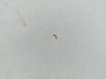 Крыша VIOEX3 Peugeot 406 - Фото 12