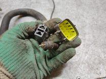 Проводка Z97N7J Daewoo Leganza купить в магазине запчастей бу