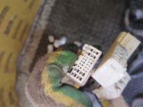 Проводка двигателя 2YM35C Toyota Avensis - Фото 4