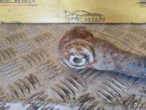 Рычаг задний правый TPT8N7 Audi A6 - Фото 3