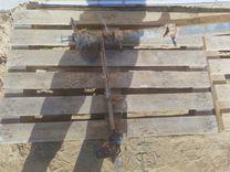 Балка подвески задняя OH1RBE Nissan Almera купить в магазине запчастей бу