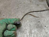 Проводка двери задней левой 8LRVF4 Volkswagen Passat купить с доставкой