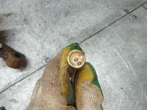 Кулак поворотный правый ARH4RA Renault Kangoo купить на авторазборке